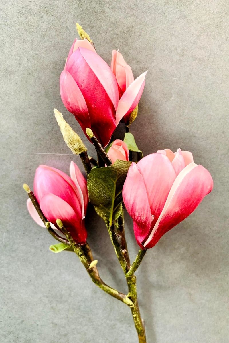 SILK, PICK MAGNOLIA TREE 20" F