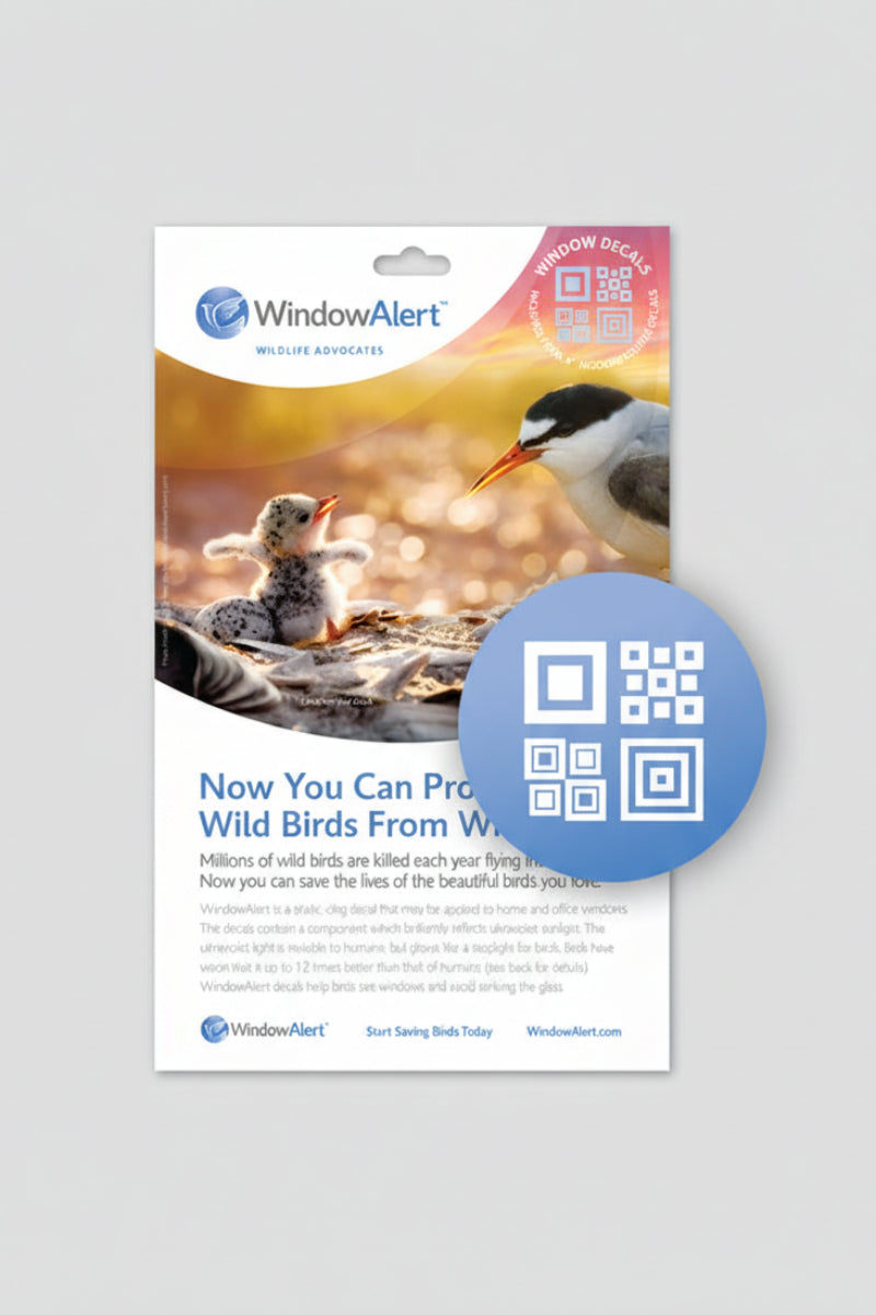 WindowAlert Decal Envelope Modern Square