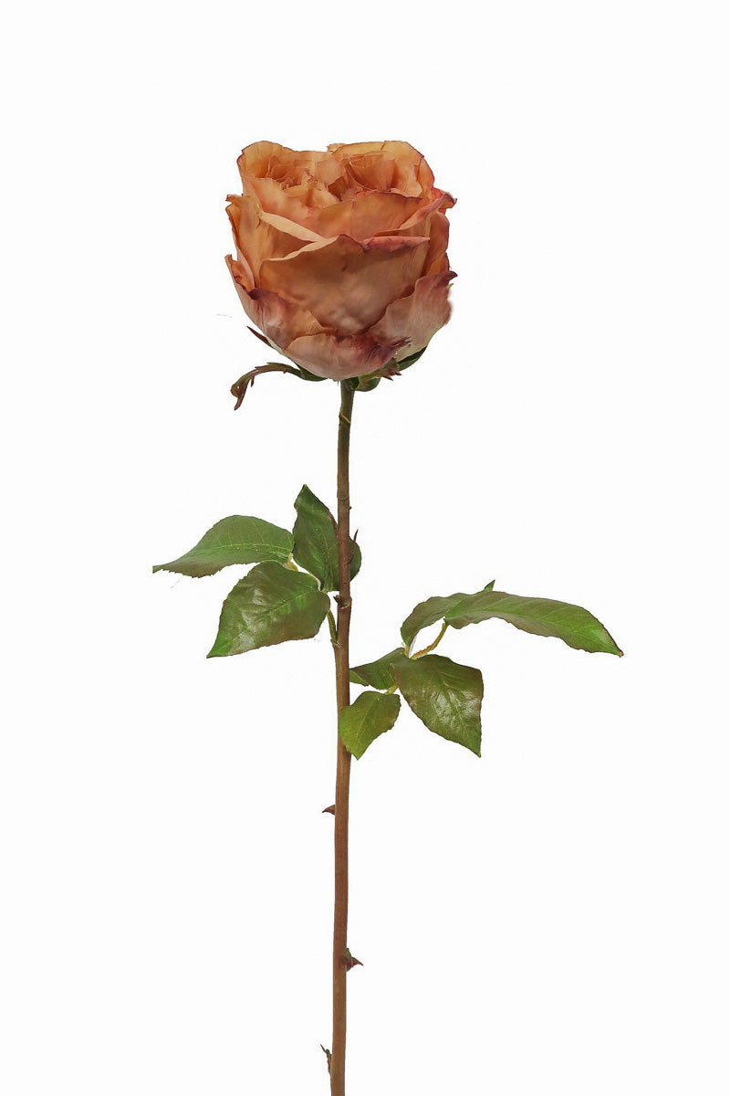 Faux Rose Dutchess Bud Stem 21.5" Light Brown