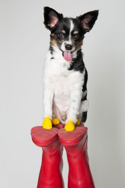 PawZ Rubber Dog Boots Red Small