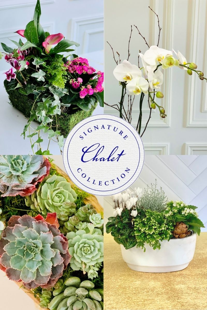 Signature Arrangement Subscription | Chalet Classics