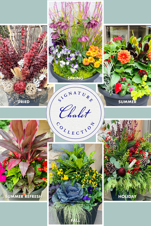 Chalet Signature Outdoor Subscription