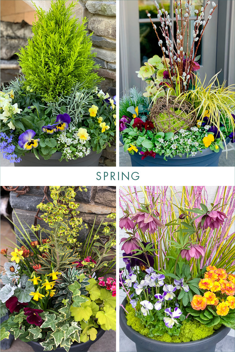 Signature Arrangement Subscription | Outdoor